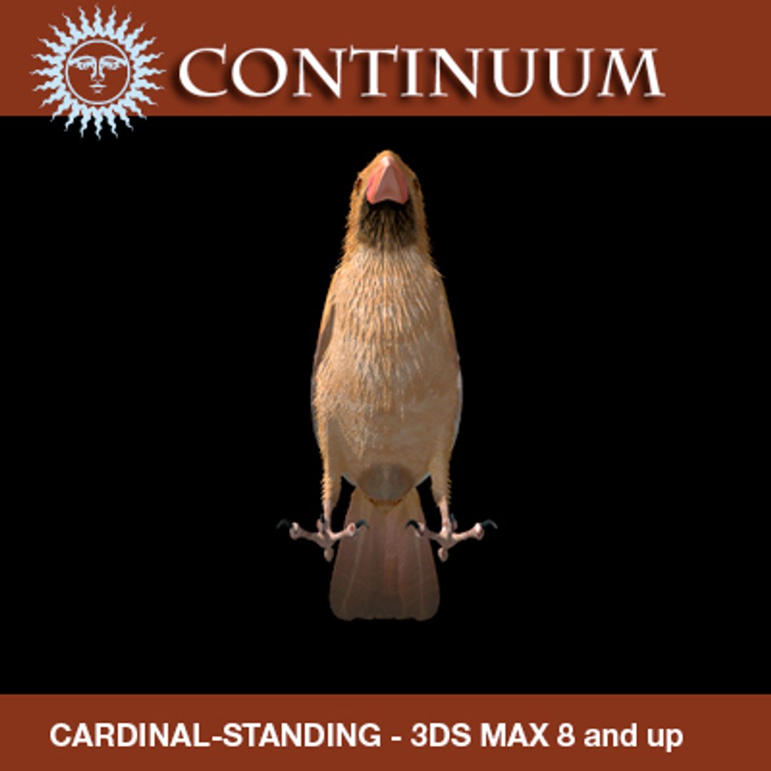 Maya Cardinal - Female Standing
