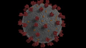 3D model coronavirus covid-19
