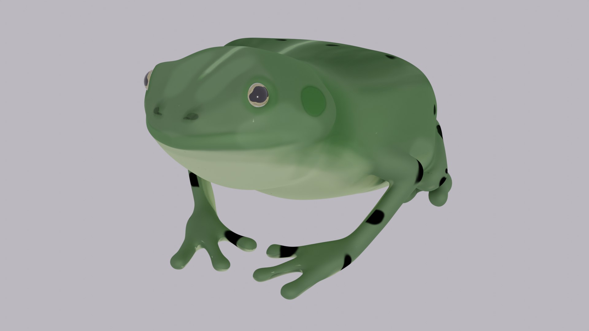3D Simple Chubby Frog Model - TurboSquid 1965097