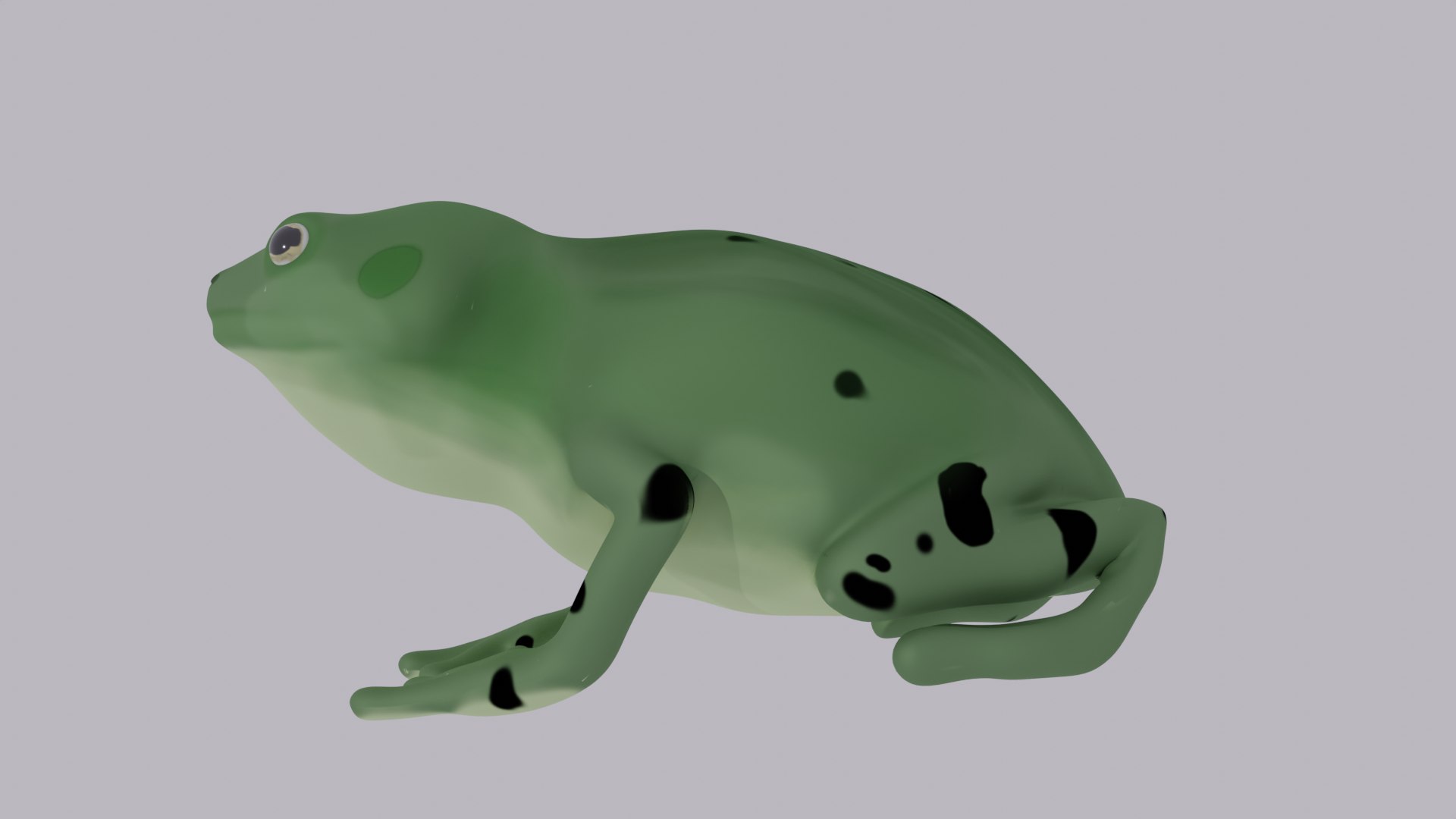 3D Simple Chubby Frog Model - TurboSquid 1965097