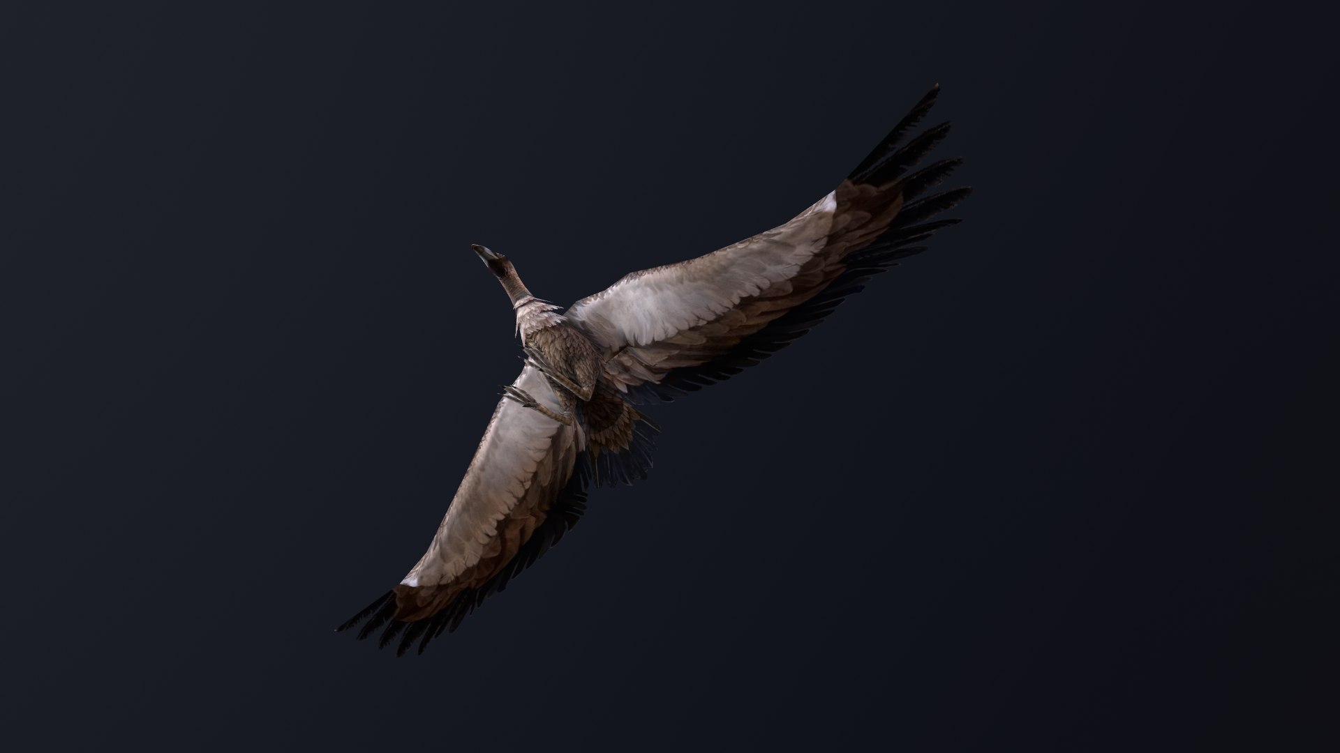 Animated vulture 3D model https://p.turbosquid.com/ts-thumb/k9/fp35O0/G7/screenshot002/png/1700137293/1920x1080/fit_q87/6bdd5ab09bf7ac419e040c3b199310703b62d9e6/screenshot002.jpg