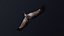 Animated vulture