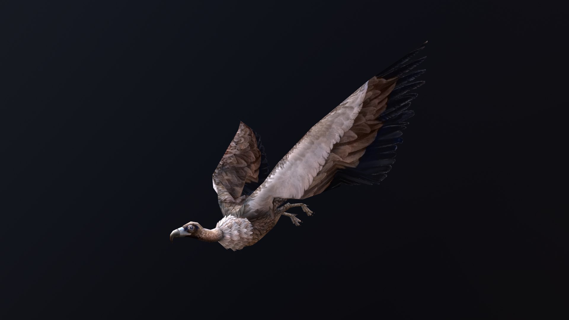 Animated vulture 3D model https://p.turbosquid.com/ts-thumb/k9/fp35O0/f3/screenshot005/png/1700137296/1920x1080/fit_q87/89a0864e5a88d9a2f235d575dd345d30f92dece3/screenshot005.jpg