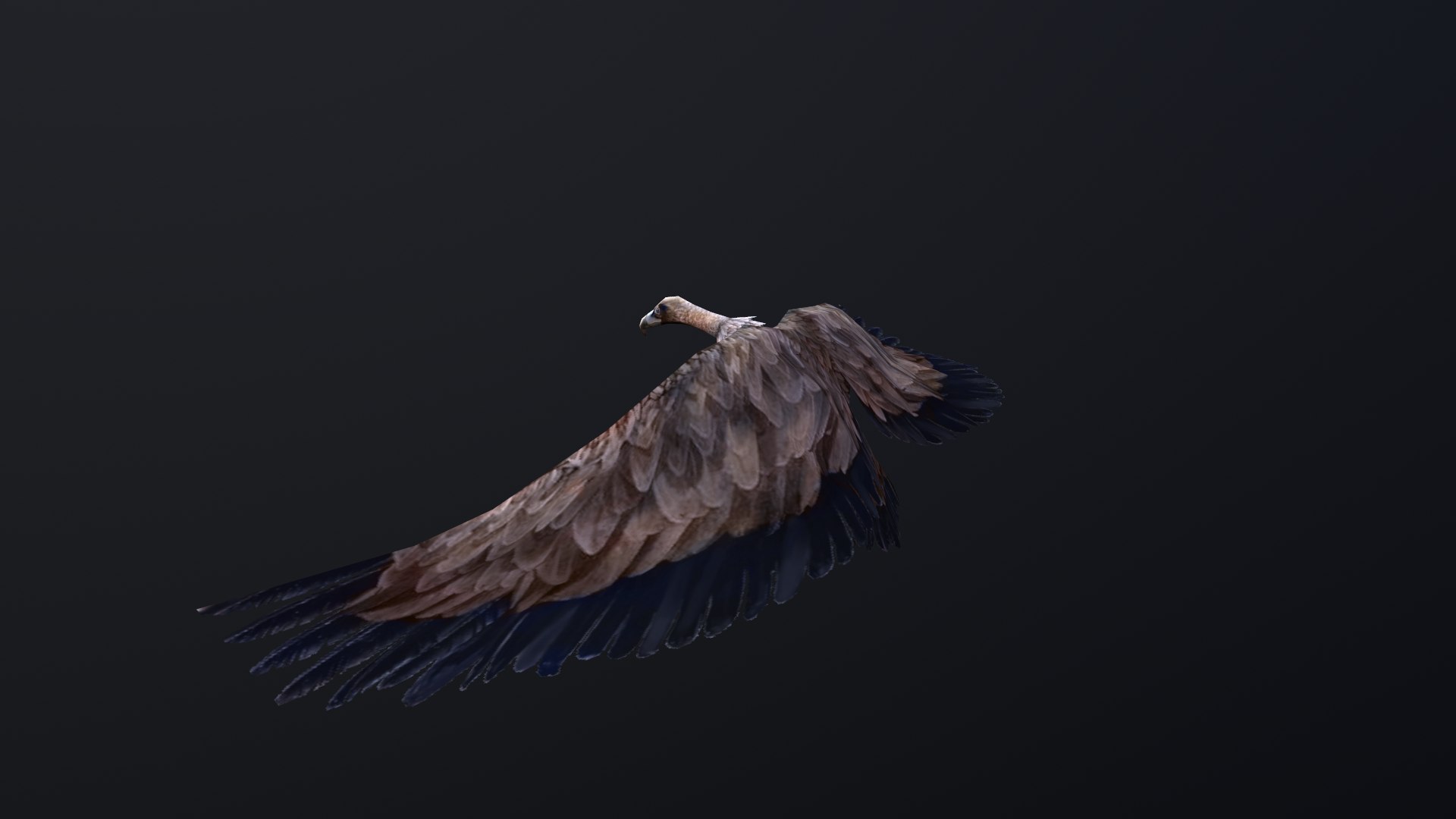 Animated vulture 3D model https://p.turbosquid.com/ts-thumb/k9/fp35O0/mH/screenshot004/png/1700137294/1920x1080/fit_q87/a69877fac992508d4e7b7894ec5bee785ed22cc7/screenshot004.jpg