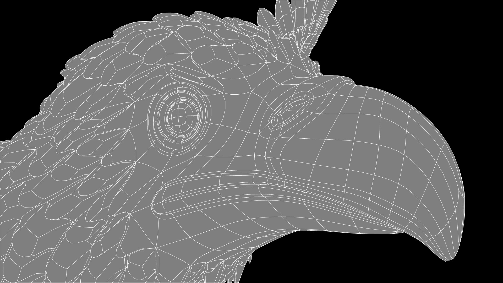 Griffin X2 3D model https://p.turbosquid.com/ts-thumb/kA/0a9NCt/fO/griffinx1_wire_38/jpg/1661937097/1920x1080/fit_q87/0eba0c2588df0b4415fa70b43467f50f1203eb23/griffinx1_wire_38.jpg