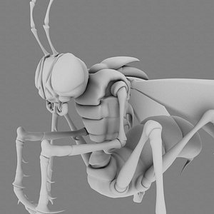 praying mantis 3d model