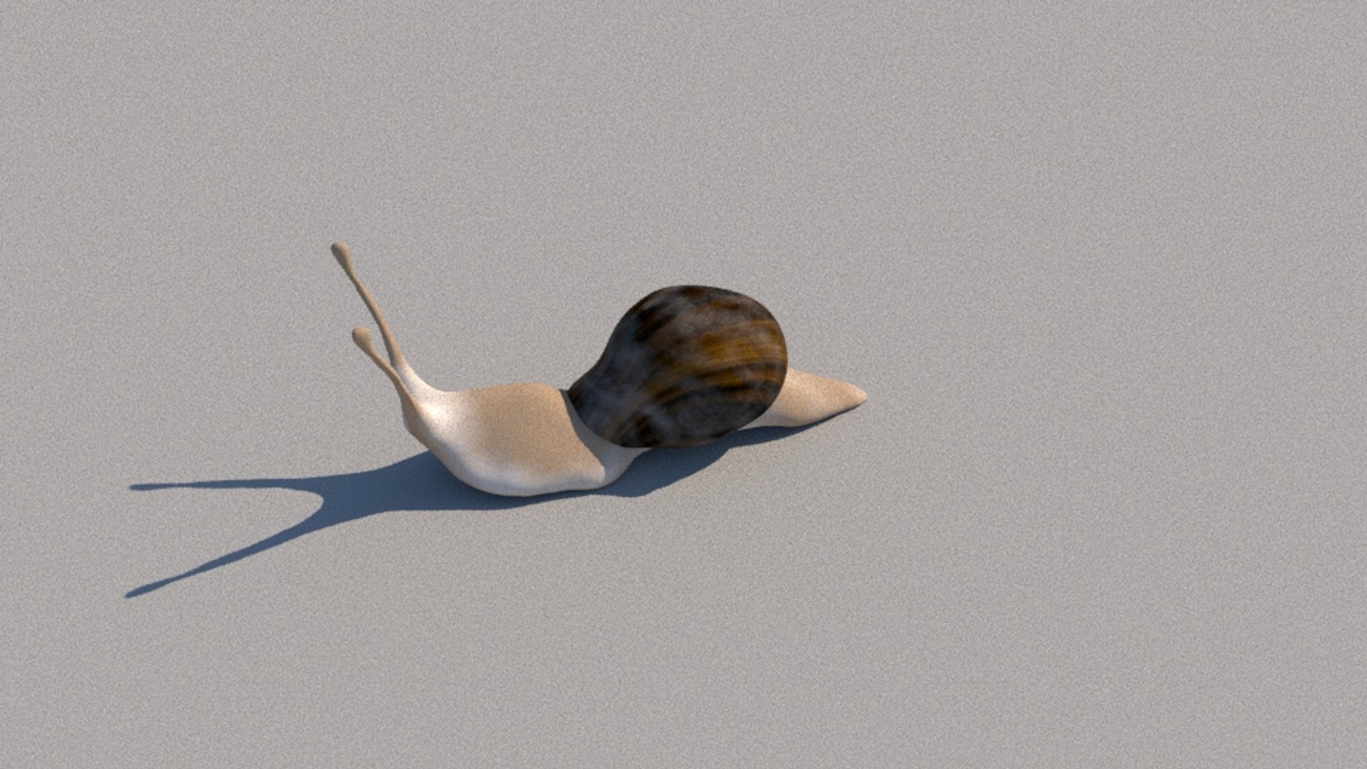 3D snail model - TurboSquid 1254926
