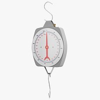 Hanging Scale