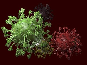 Virus