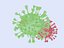 virus animation 3D model