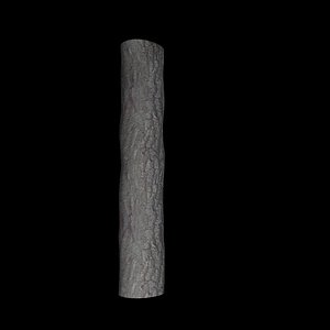 3d oak log model