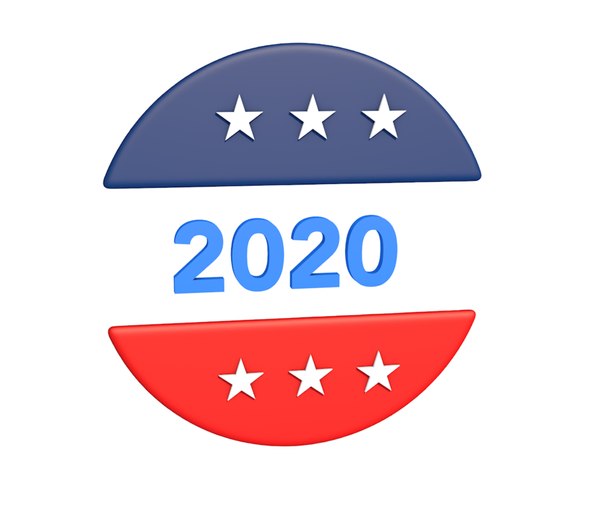 2020 election 3D