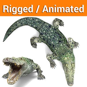 3D crocodile rigged animation