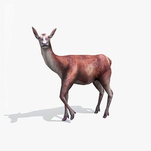 Cuernos de ciervo Modelo 3D $59 - .ztl .obj - Free3D