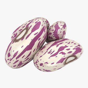 realistic light kidney bean 3D model