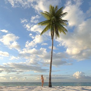 max coconut palm tree