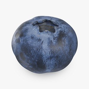 Blueberry 01