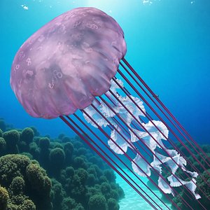Pink Glow Jellyfish 3D model