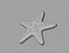 Starfish