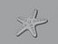 Starfish