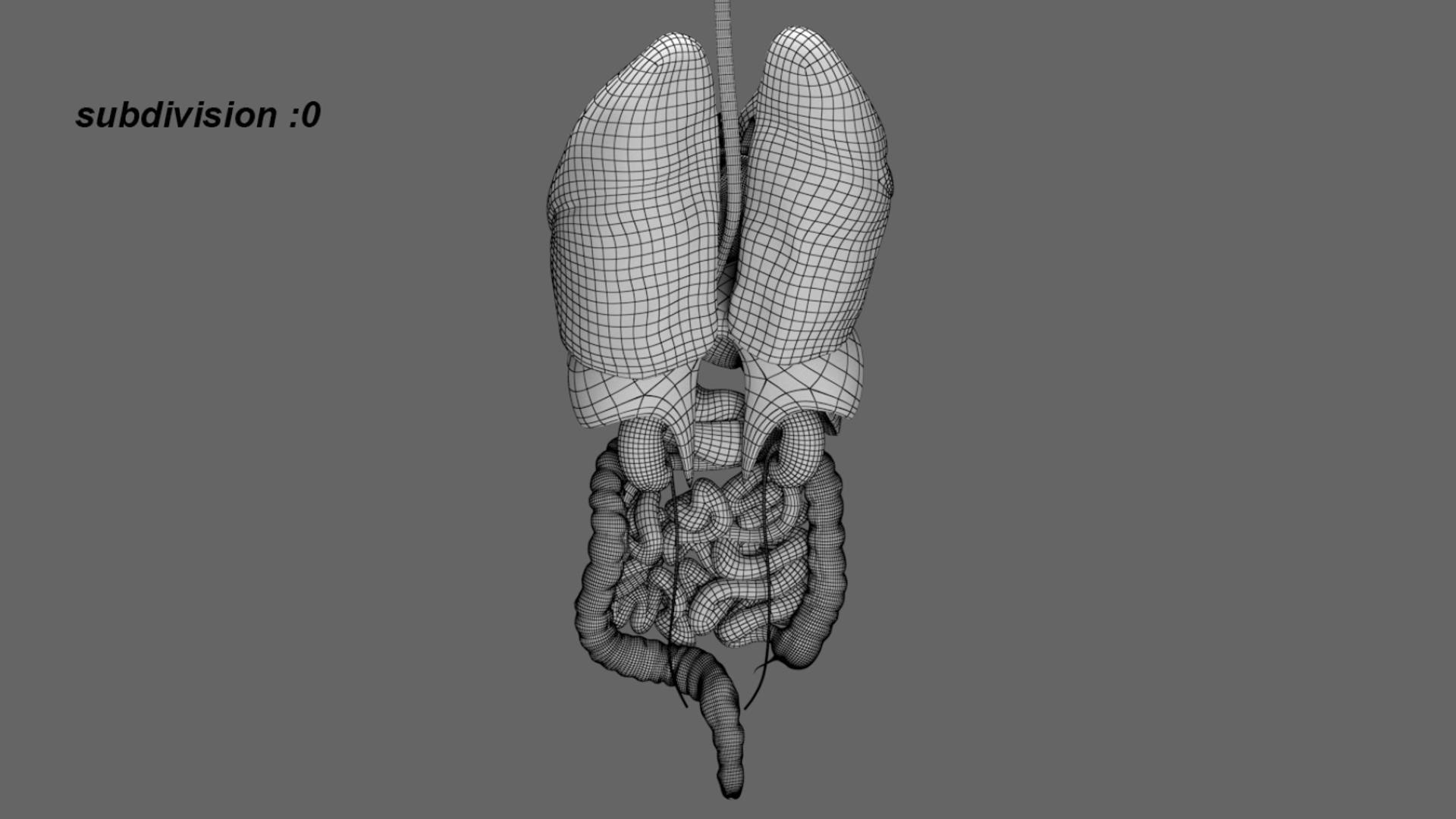 3D Human Internal Organs 3D model https://p.turbosquid.com/ts-thumb/kA/sx8HlP/4C/23/jpg/1750071801/1920x1080/fit_q87/91781a079bb66e587ecb0d40b9b5e95a8ad7d5d1/23.jpg