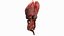 Human Internal Organs 3D