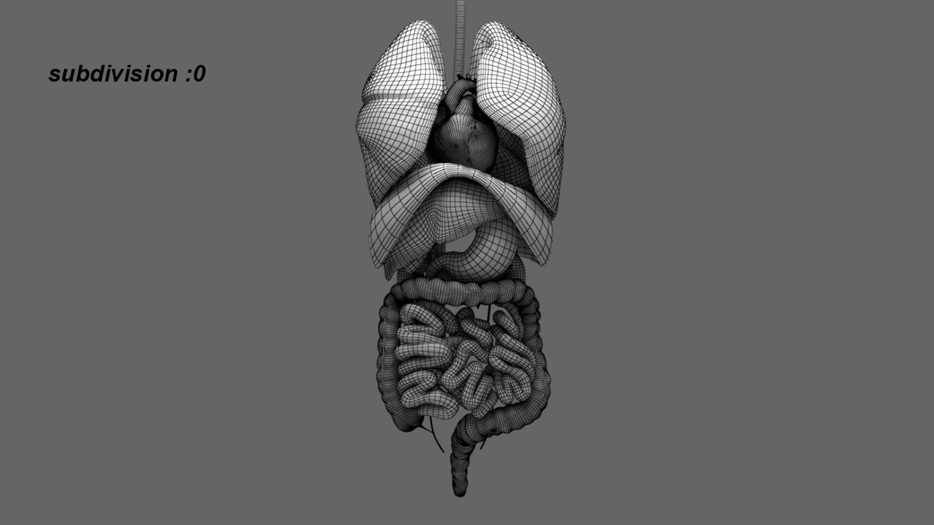 3D Human Internal Organs 3D model https://p.turbosquid.com/ts-thumb/kA/sx8HlP/81/21/jpg/1750071801/1920x1080/fit_q87/7aa18acbf65f7d8fa14490b5bd611c367b0278cb/21.jpg