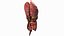 Human Internal Organs 3D