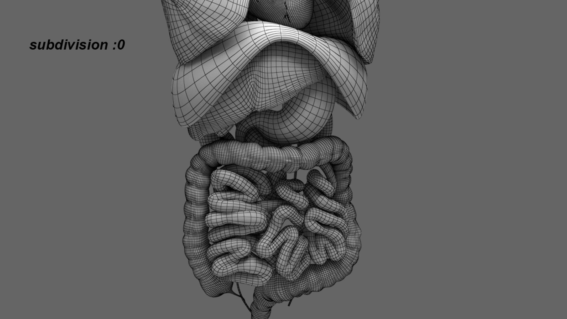 3D Human Internal Organs 3D model https://p.turbosquid.com/ts-thumb/kA/sx8HlP/lw/25/jpg/1750071803/1920x1080/fit_q87/baf9a842a3ae59baba0461b661370a551a7d1166/25.jpg