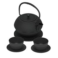 Japanese Cast Iron Teapot/ Kettle