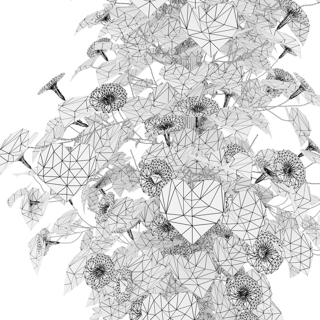 Ipomoea indica 3D model https://p.turbosquid.com/ts-thumb/kB/9EXa1s/jd/preview7dcfg/jpg/1665643589/1920x1080/fit_q87/b4cc1d1d129252027cf213fbdbba9c50a369300d/preview7dcfg.jpg