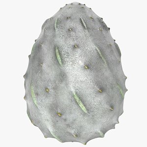 Dragon Egg