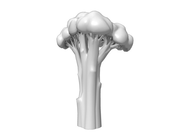 3d broccoli model