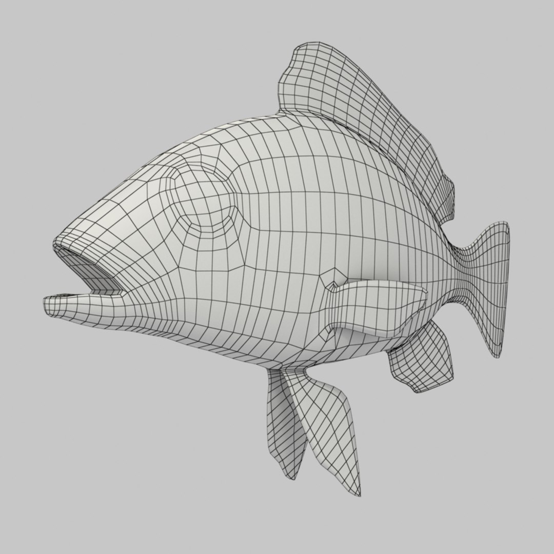 3d Model Red Snapper