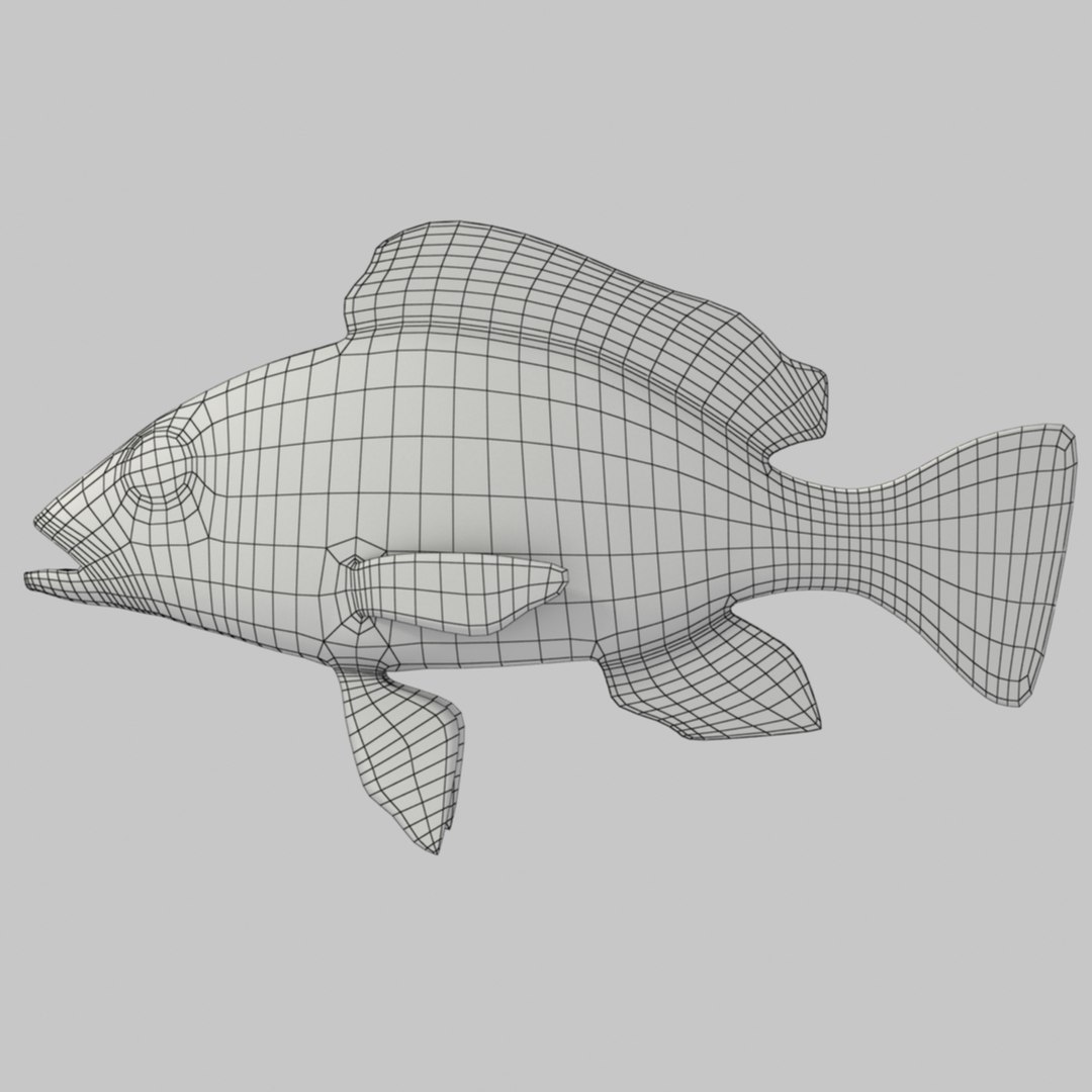 3d Model Red Snapper
