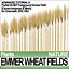 Animation Emmer Wheat Fields Poser DAZ VFX