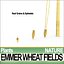 Animation Emmer Wheat Fields Poser DAZ VFX