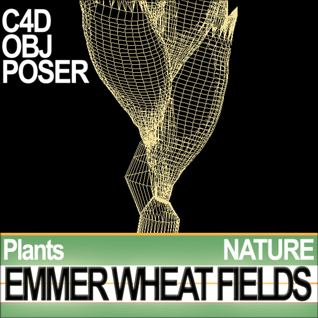 plants poser daz animation 3d model https://p.turbosquid.com/ts-thumb/kB/OITr2u/7LlTUl72/natureemmerwheatfieldse1/jpg/1307777541/1920x1080/fit_q87/cbd75deccc6fdd172936ca1a110bae15be4b6e0a/natureemmerwheatfieldse1.jpg