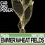 Animation Emmer Wheat Fields Poser DAZ VFX