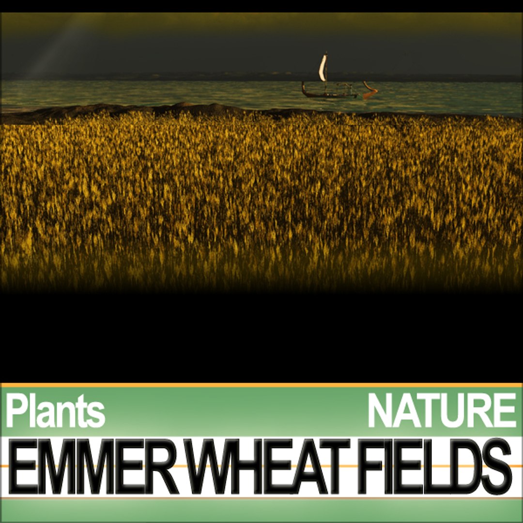 plants poser daz animation 3d model https://p.turbosquid.com/ts-thumb/kB/OITr2u/8tI3ncQr/natureemmerwheatfieldsb3/jpg/1307777541/1920x1080/fit_q87/db67af0326842f66f16194809a9ac527795caea8/natureemmerwheatfieldsb3.jpg