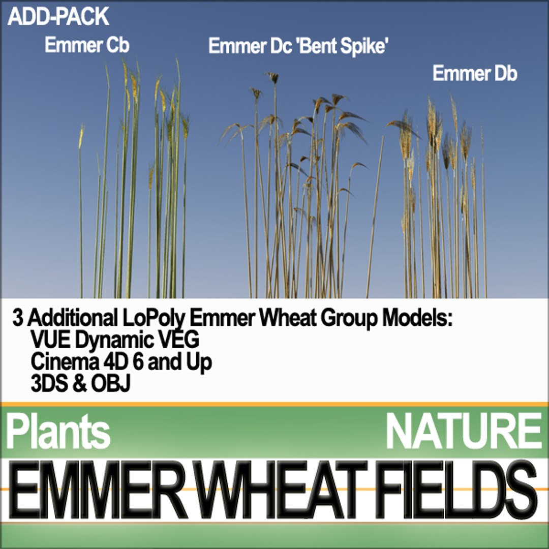 plants poser daz animation 3d model https://p.turbosquid.com/ts-thumb/kB/OITr2u/FCmFLUkp/natureemmerwheatfieldsf1/jpg/1309012742/1920x1080/fit_q87/741b299b324ed151dc1e1f9973cc12e3ccb25f44/natureemmerwheatfieldsf1.jpg