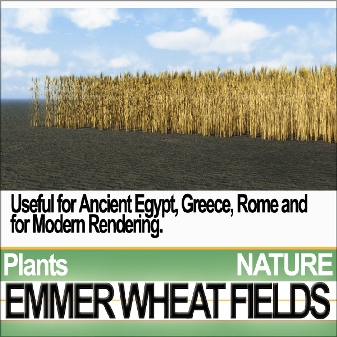 plants poser daz animation 3d model https://p.turbosquid.com/ts-thumb/kB/OITr2u/JjsGjsrB/natureemmerwheatfieldsb1/jpg/1307777541/1920x1080/fit_q87/9451353bf64529373c3191c15a91971d0d0a70d3/natureemmerwheatfieldsb1.jpg