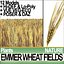Animation Emmer Wheat Fields Poser DAZ VFX