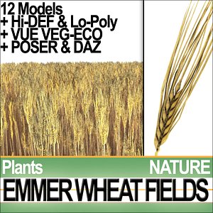 Emmer Wheat Fields Poser DAZ VFX Animation