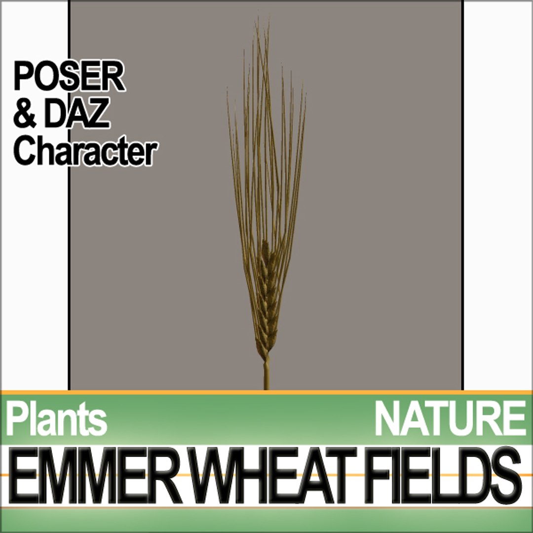 plants poser daz animation 3d model https://p.turbosquid.com/ts-thumb/kB/OITr2u/WHURaduq/natureemmerwheatfieldsc5/jpg/1307777541/1920x1080/fit_q87/d6e2dc3701328bb450affc73e095808c61087417/natureemmerwheatfieldsc5.jpg