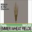 Animation Emmer Wheat Fields Poser DAZ VFX