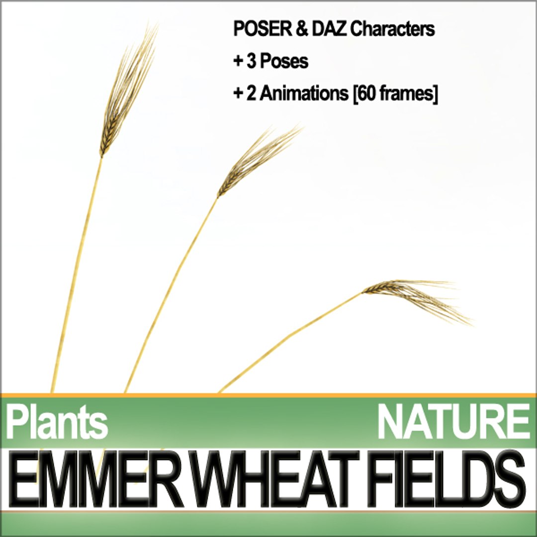 plants poser daz animation 3d model https://p.turbosquid.com/ts-thumb/kB/OITr2u/lB92UKKY/natureemmerwheatfieldsc3/jpg/1307777541/1920x1080/fit_q87/53c9f2e6b0ac537afa13dc6825f4e145487f807b/natureemmerwheatfieldsc3.jpg