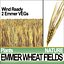 Animation Emmer Wheat Fields Poser DAZ VFX