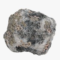 Rock with Barnacles