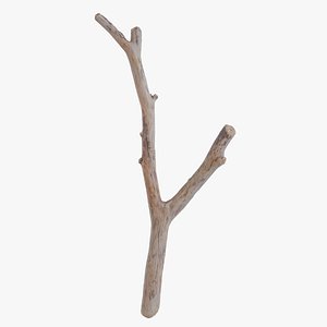 3D model Bleached Branch Weathered Wood